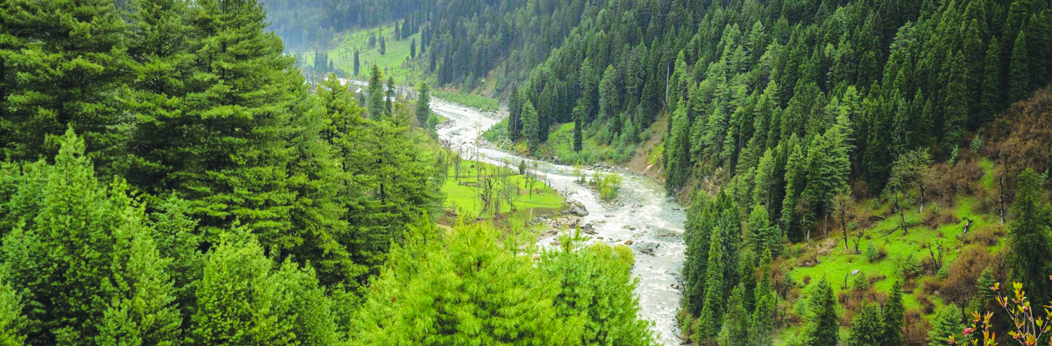 Pahalgam Kashmir